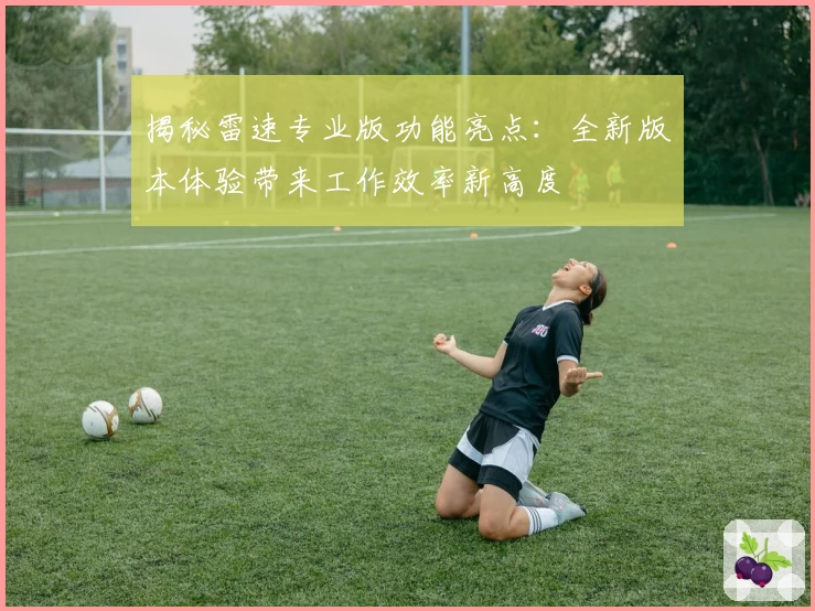 揭秘雷速专业版功能亮点：全新版本体验带来工作效率新高度