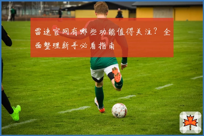 雷速官网有哪些功能值得关注?全面整理新手必看指南