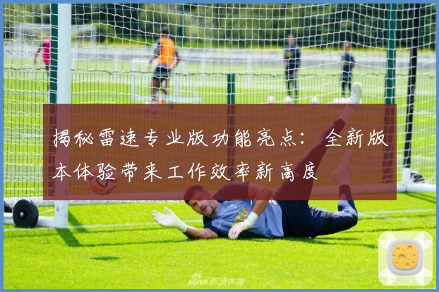 揭秘雷速专业版功能亮点：全新版本体验带来工作效率新高度